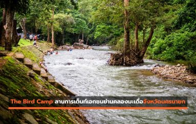 The Bird Camp ลานการเต็นท์เอกชนย่านคลองมะเดื่อจังหวัดนครนายก