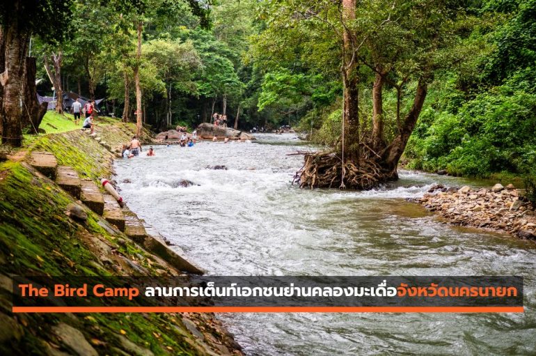 The Bird Camp ลานการเต็นท์เอกชนย่านคลองมะเดื่อจังหวัดนครนายก