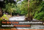 The Bird Camp ลานการเต็นท์เอกชนย่านคลองมะเดื่อจังหวัดนครนายก